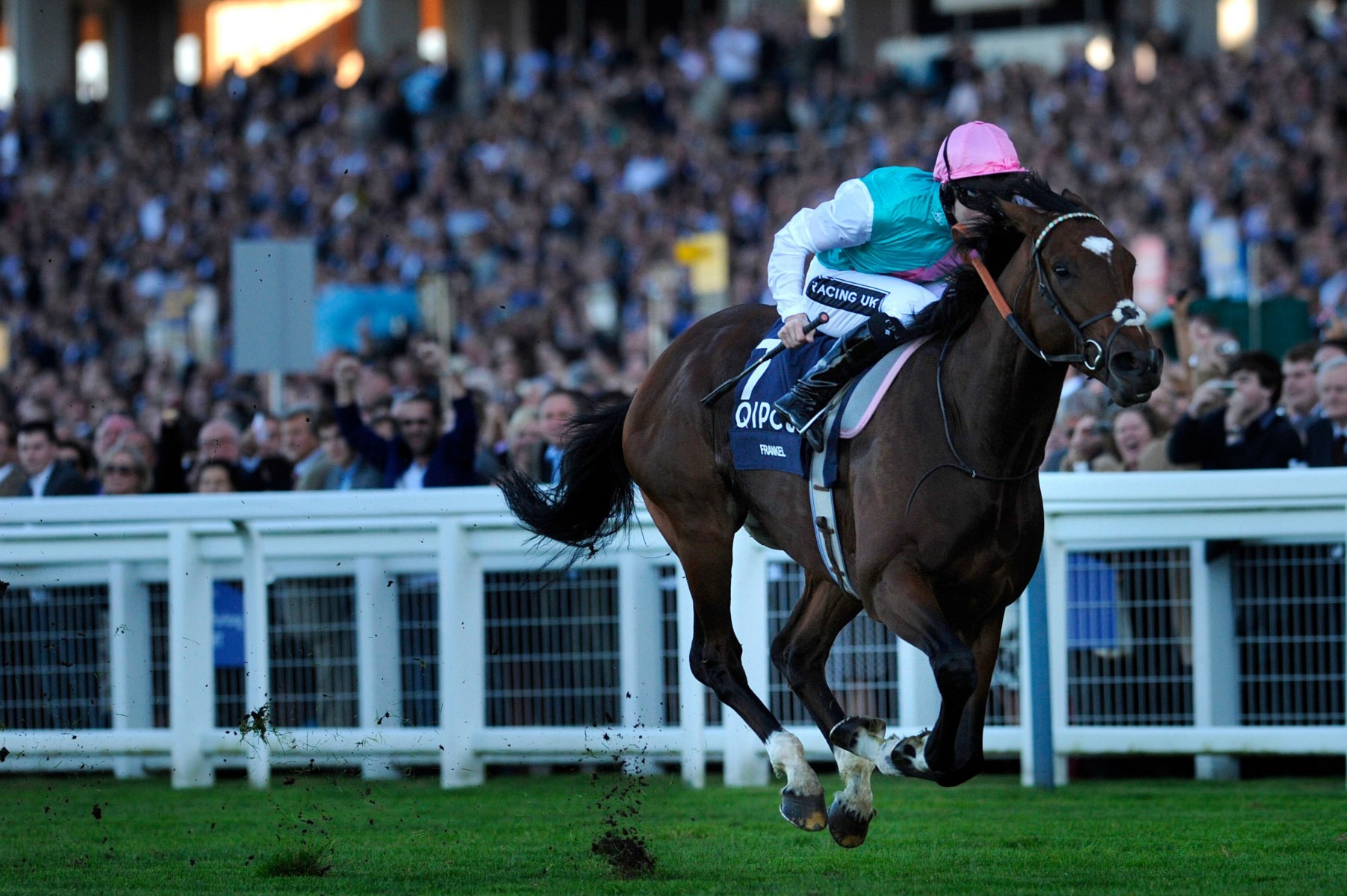 , Frankel film to have Jeremy Irons play Henry Cecil in tribute to brilliant combination