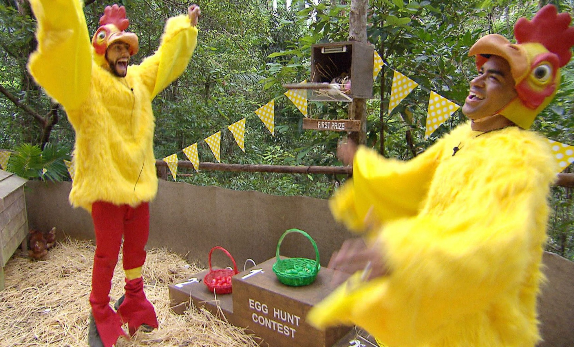 Dyer, dressed up like a chicken, performs one Bushtucker Trial