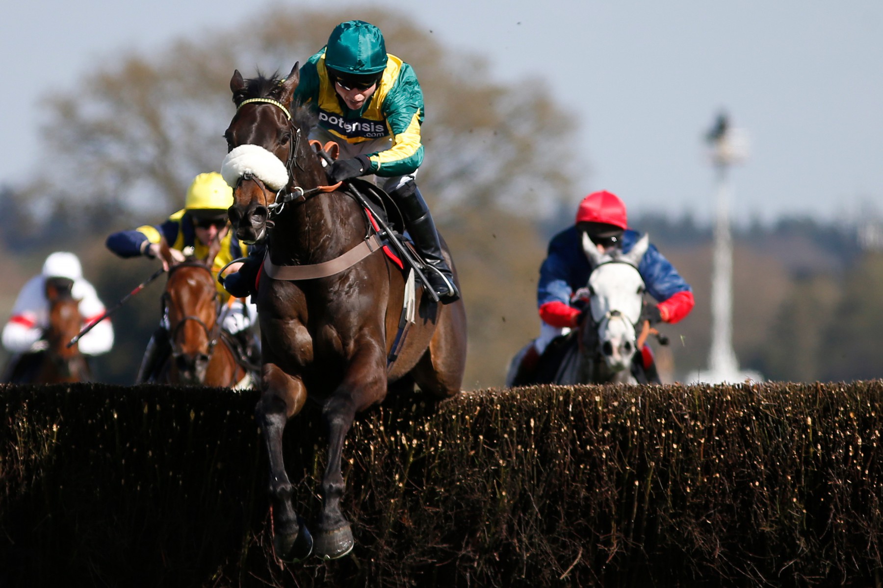 , Weekend shortlist: Five horses who can produce fireworks on Saturday