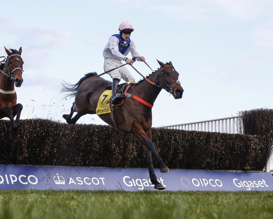 , Ruth Jefferson favouring tilt at Tingle Creek next Saturday for stable star Waiting Patiently