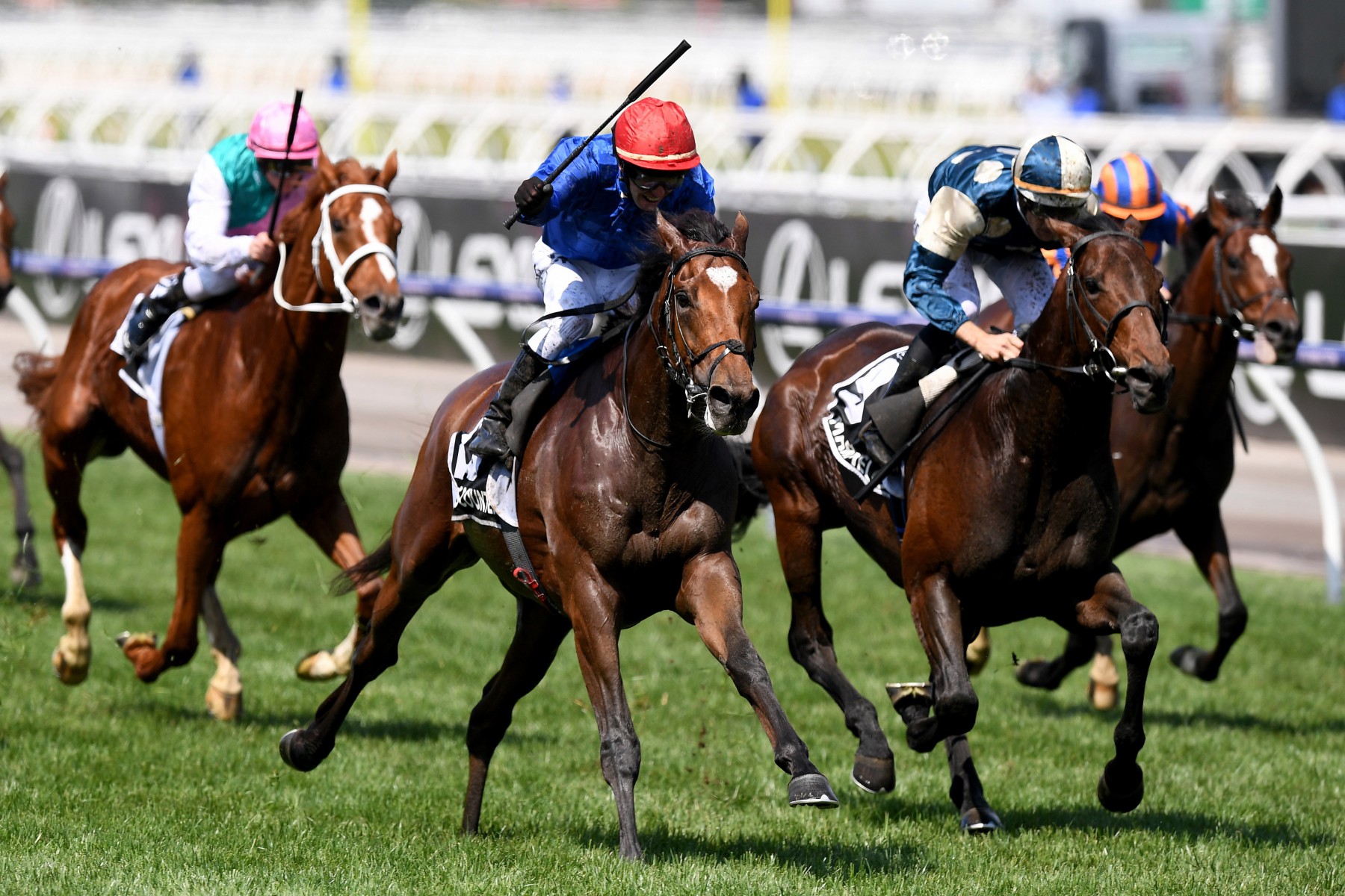 , Melbourne Cup 2019: Templegate gives his best bets for the race that stops a nation