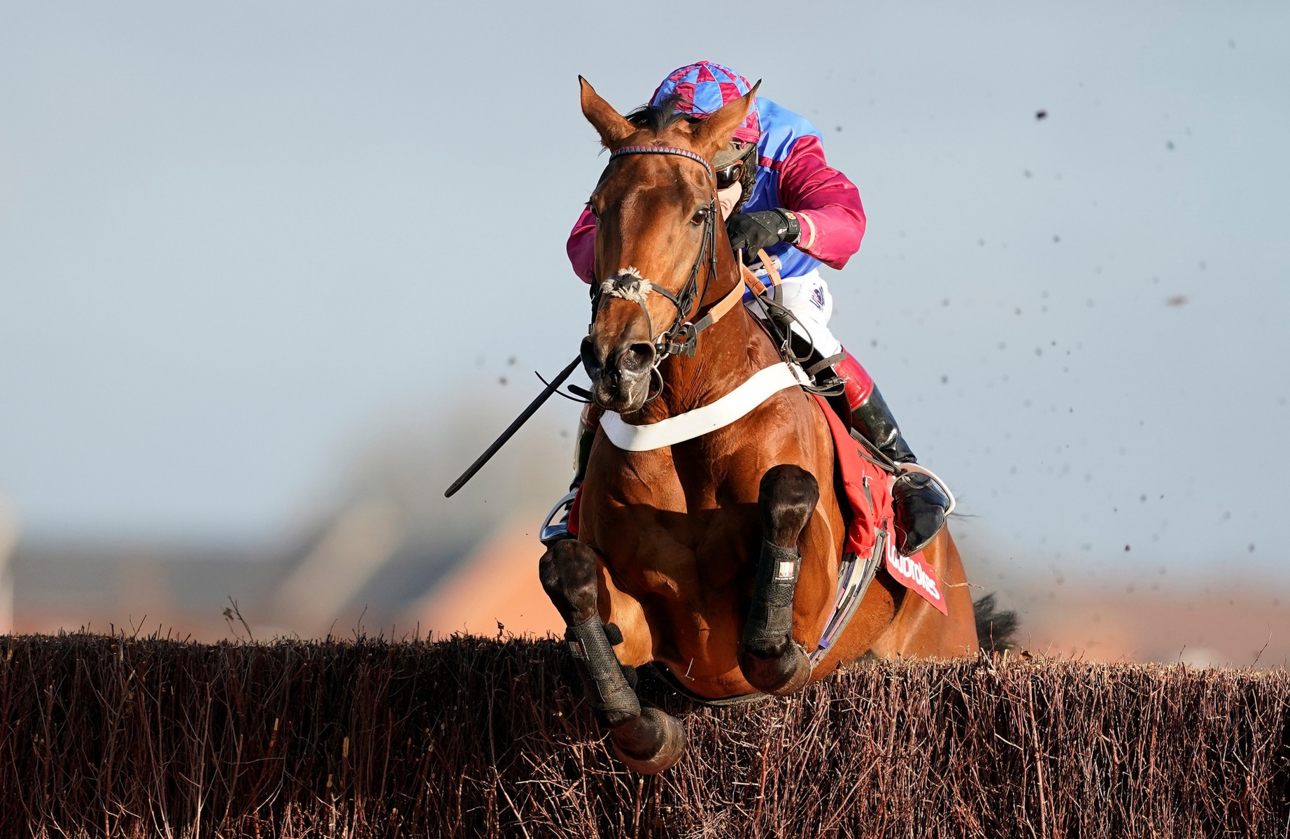 , La Bague Au Roi heads final field of seven for Charlie Hall Chase