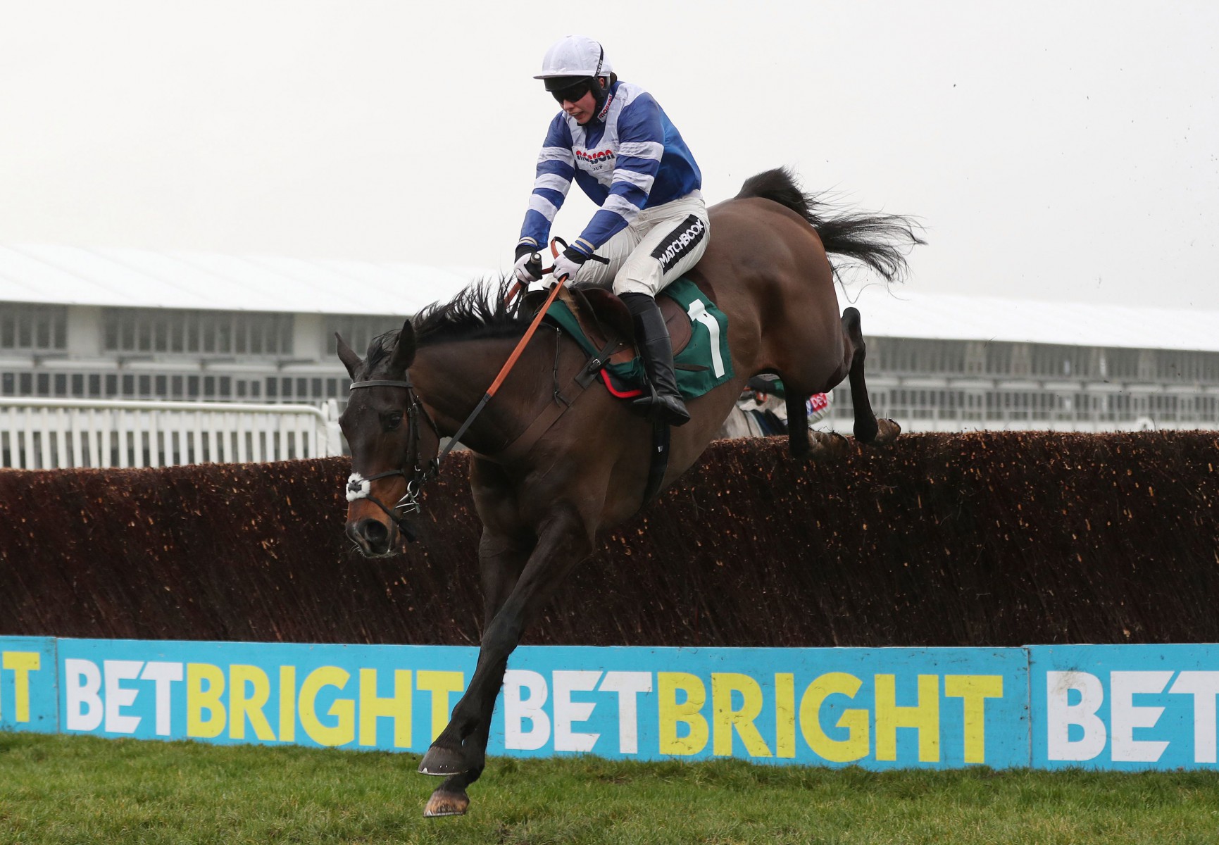 , Cheltenham races: your ultimate BetVictor Gold Cup betting preview
