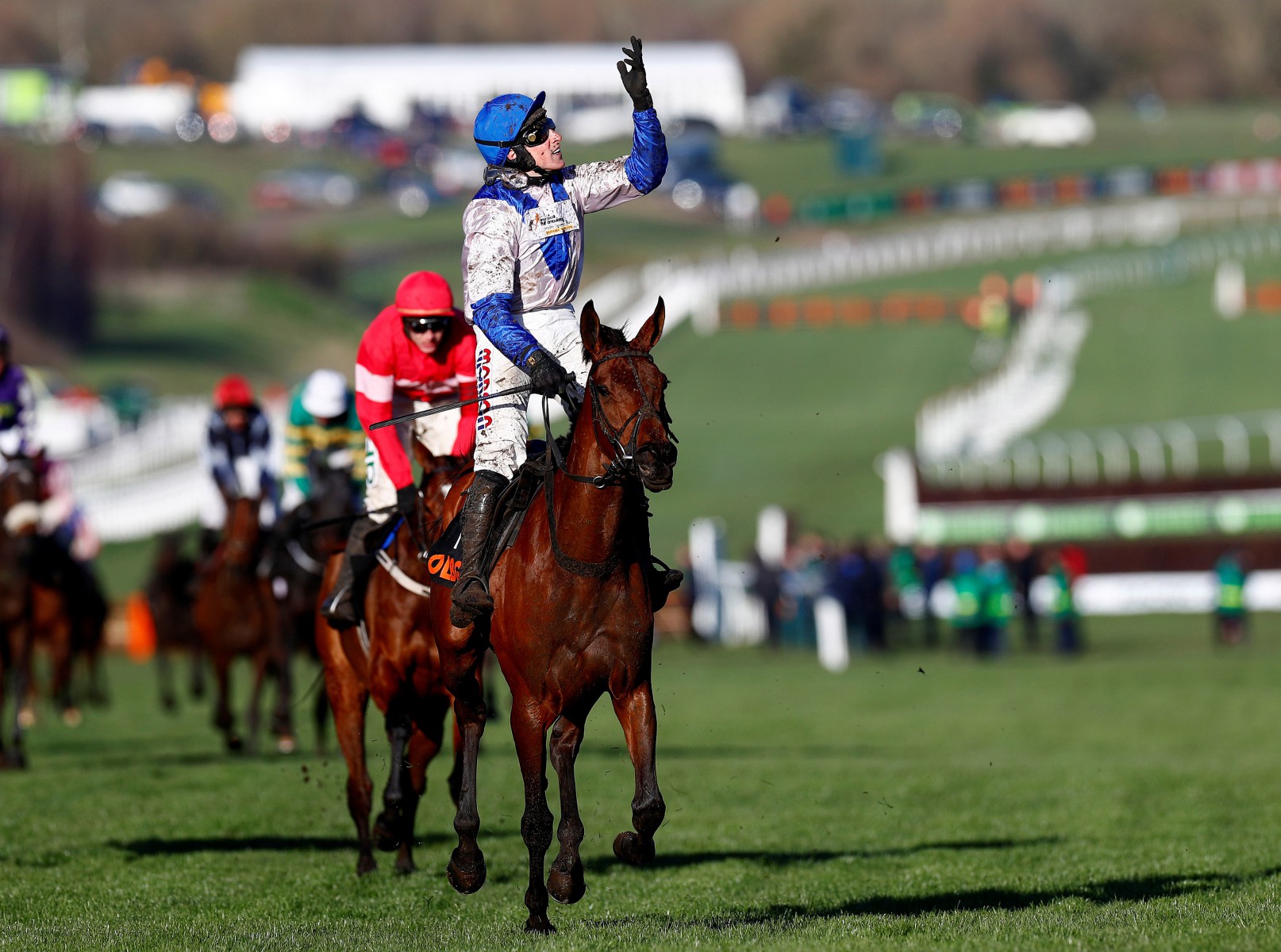 , Ascot preview: Get the latest on Call Me Lord, Roksana and Lil Rockerfeller ahead of the Coral Hurdle