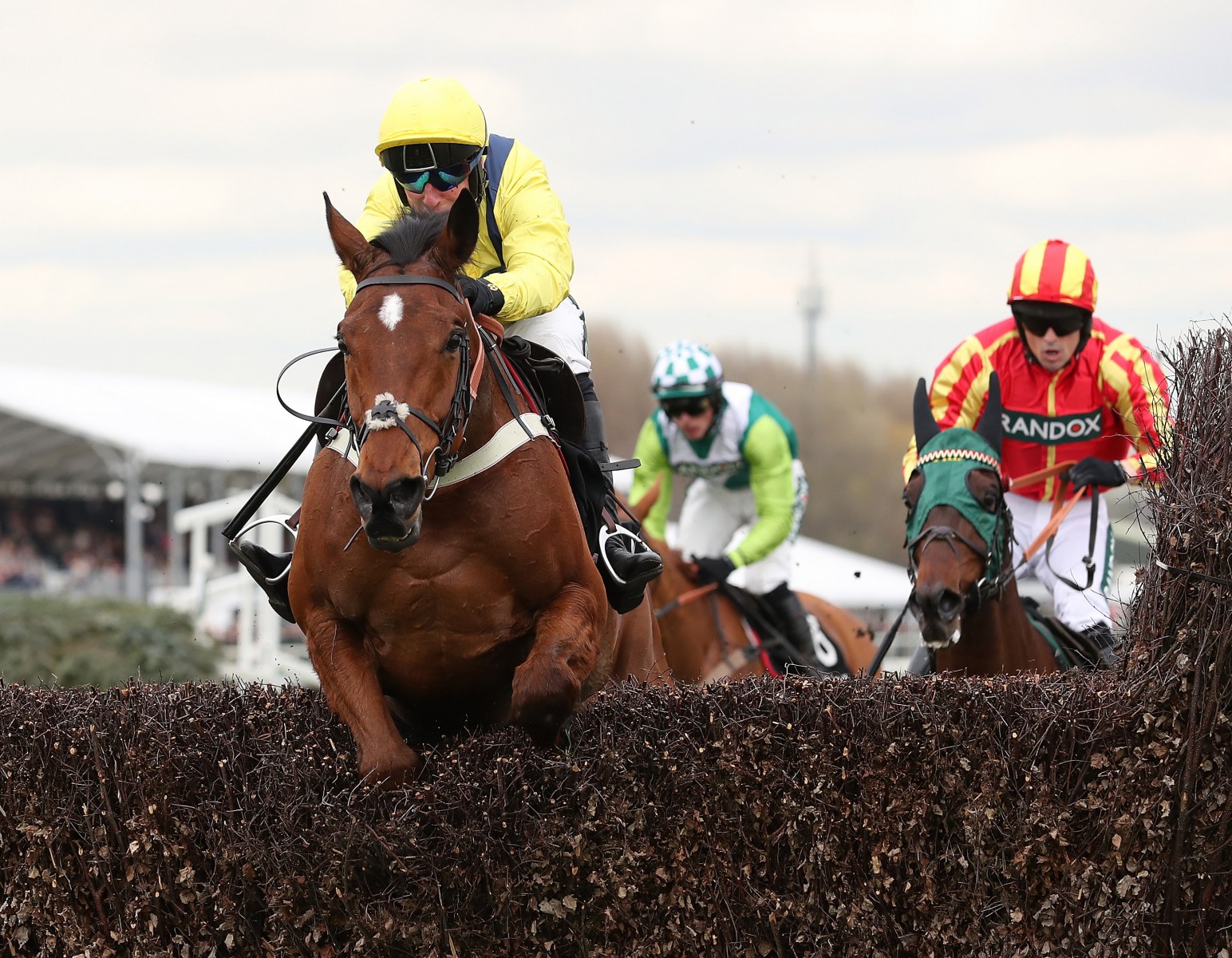 , Haydock Betting Preview: Tip, racecard and analysis for the Grade 1 Betfair Chase at Haydock this Saturday