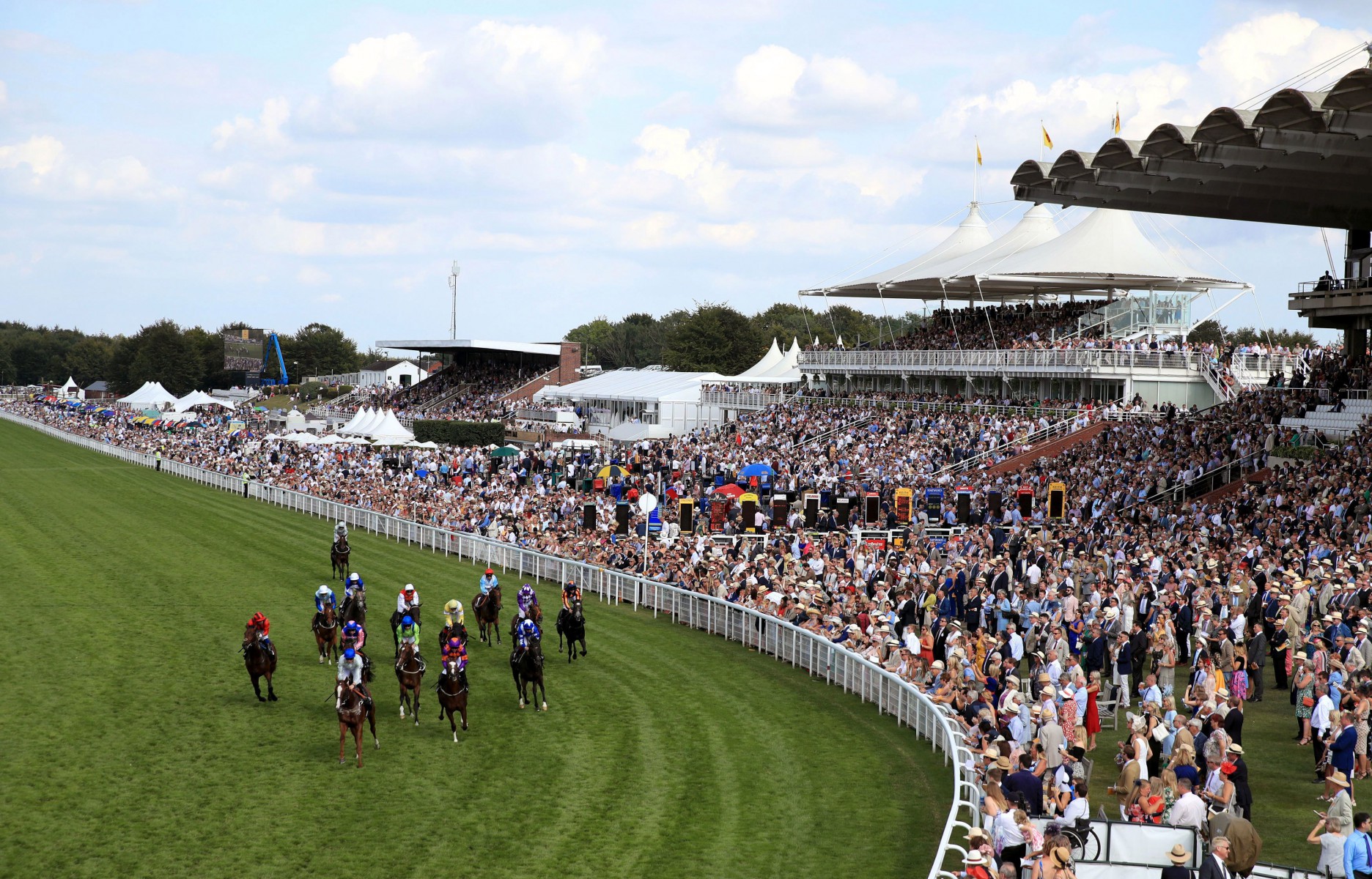 , Jail sentences handed out to nine men after mass brawl at Goodwood racecourse in May