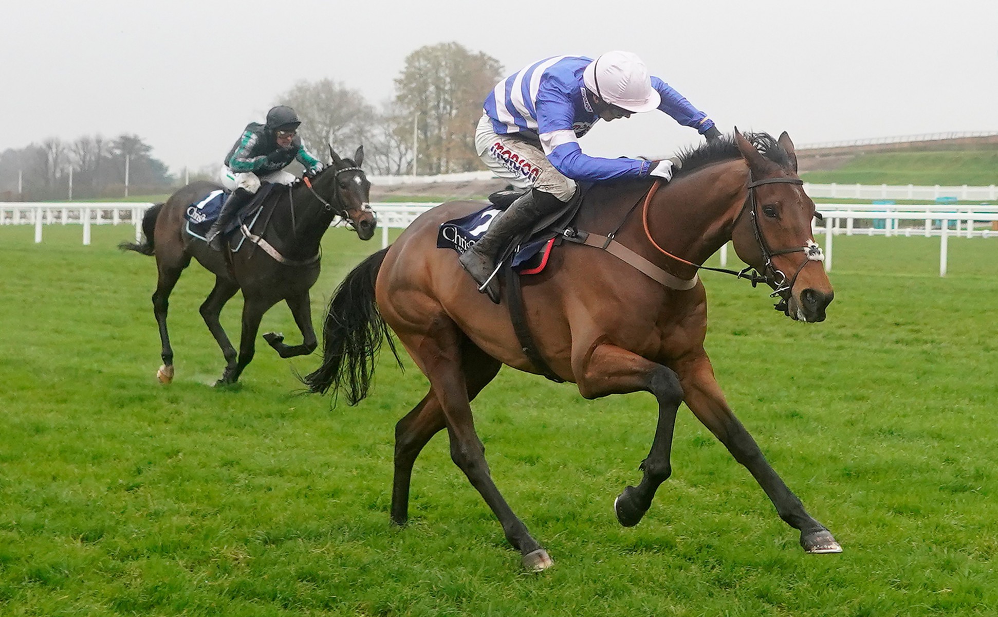 , Find out which of the King George hopefuls is set for Grade 1 glory