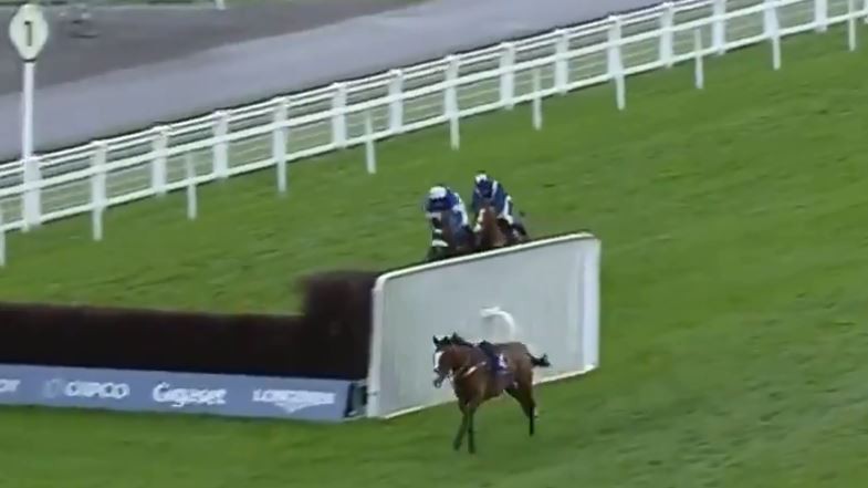 , Dramatic end to Listed Chase at Ascot as stablemates Diego Du Charmil and Capeland cause chaos at final fence