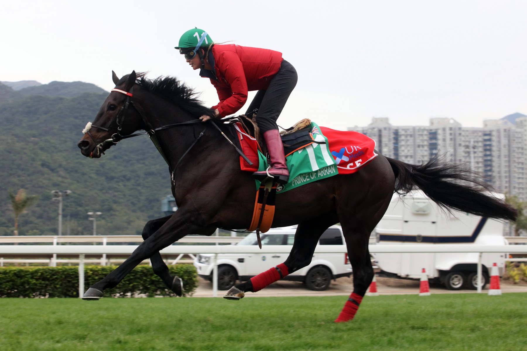 , HKIR: Prince Of Arrans remarkable worldwide tour set to continue with Hong Kong Vase next adventure