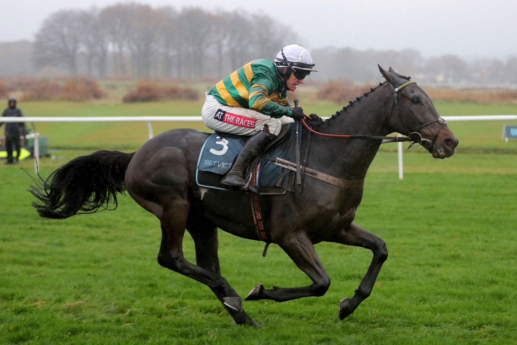 , Two-time Champion Hurdle winner Buveur DAir could be out for the season after injury setback