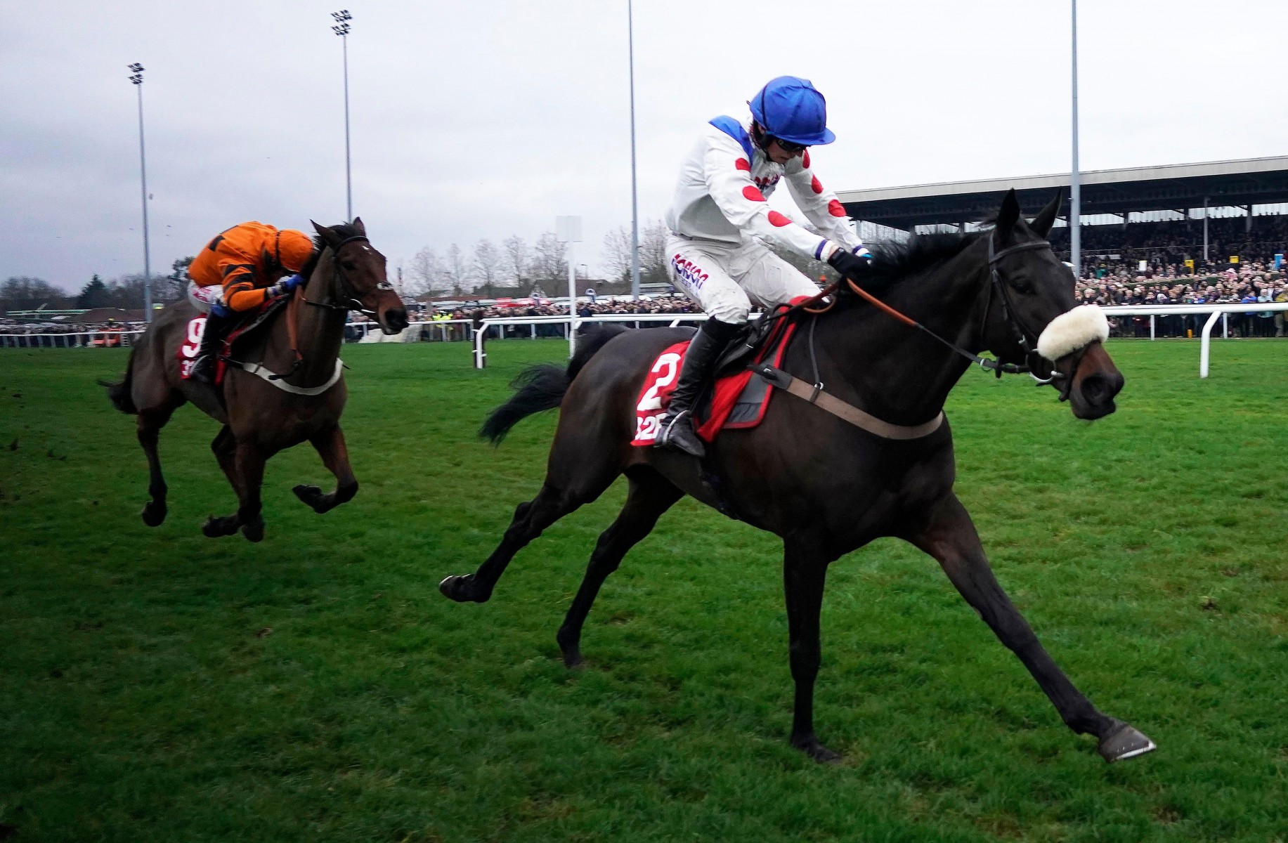 , King George 2019: Matt Chapman talks through who he believes Harry Cobden should ride on Boxing Day