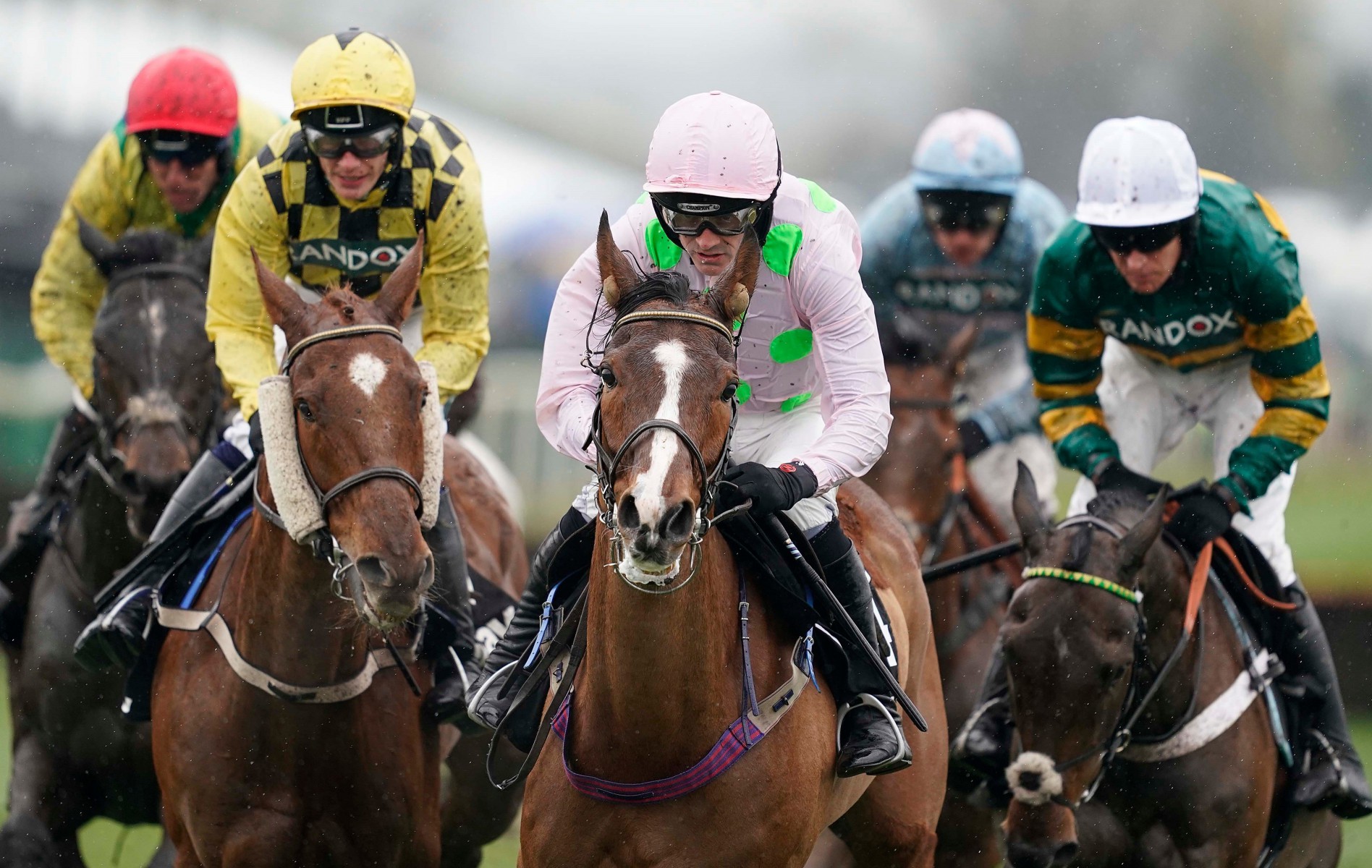 , Small field likely for King George as Boxing Day fare gets festive juices flowing