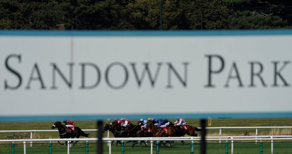 , Jockeys have their Sandown suspensions quashed on appeal following void race drama