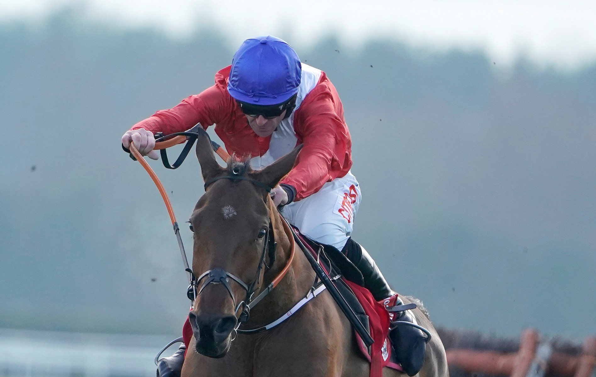 , Cheltenham Festival 2020: How each race would work out if they went off now