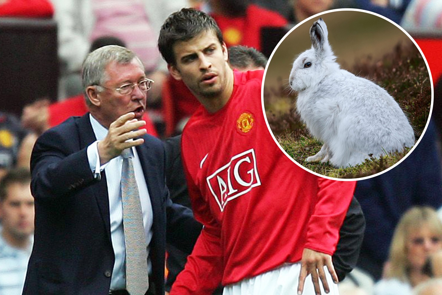 , Pique reveals Sir Alex gave him hairdryer at Man Utd after pet RABBIT ate furniture in flat he rented from great Scot