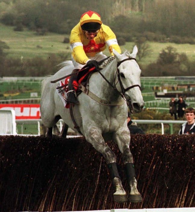 , Number 42: The popular grey who dished out a big serving of humble pie in the Champion Chase