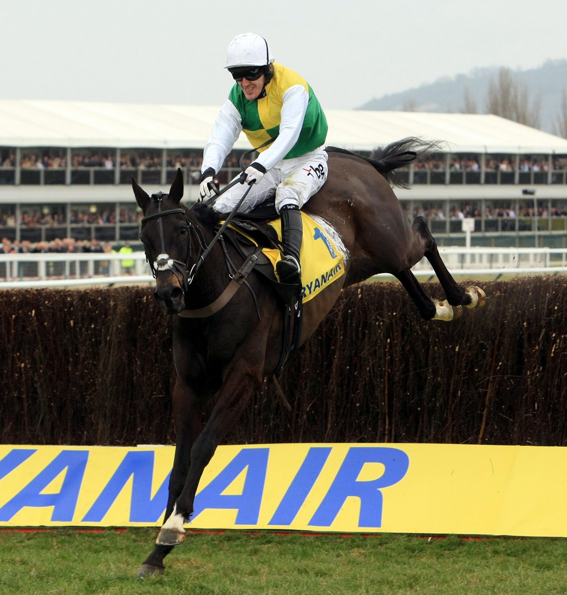 , Number 47: The three-time Festival winner who AP McCoy could set his watch by each year
