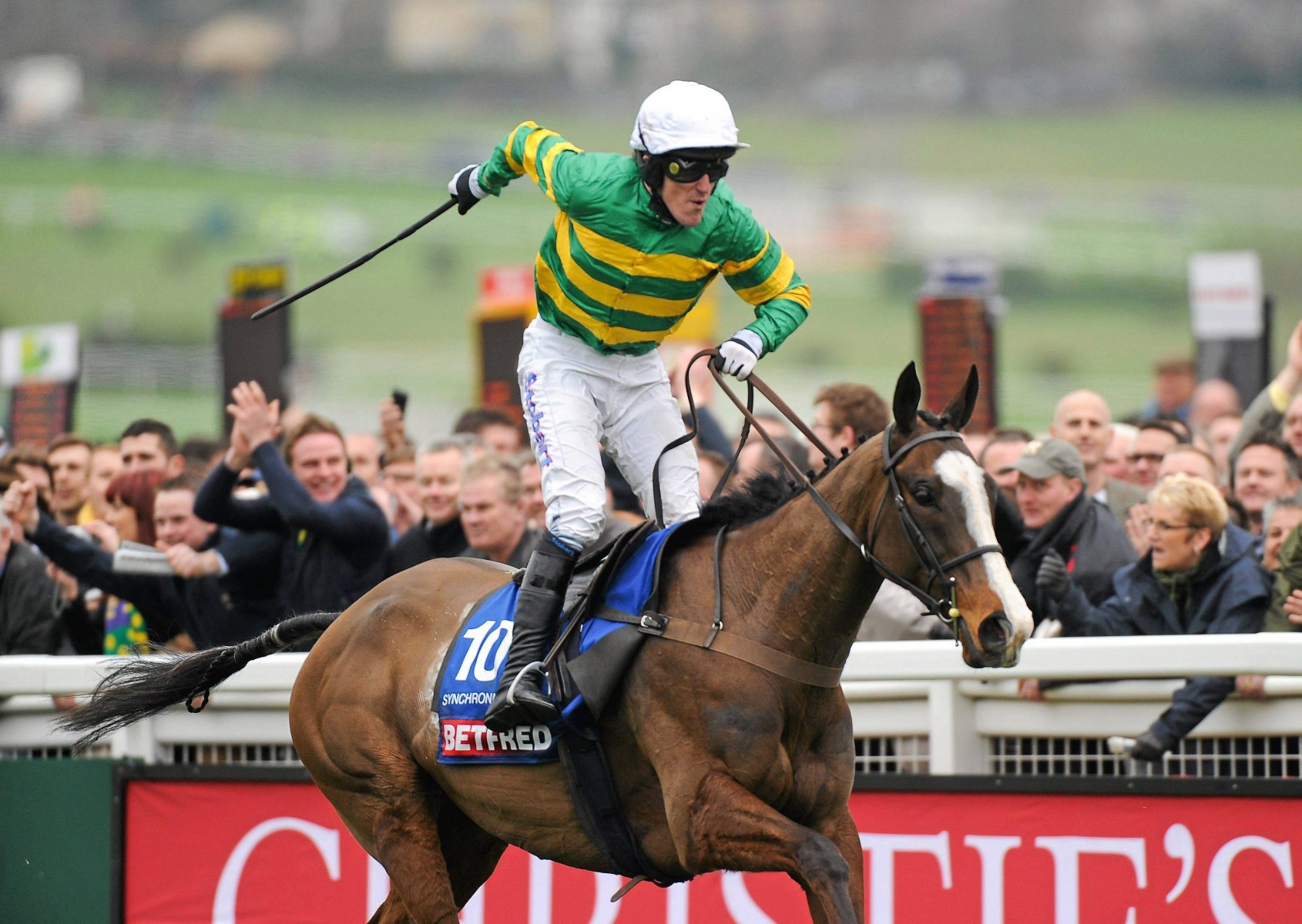 , Number 41: The horse who rose through the ranks to give AP McCoy a great day in the saddle at the Cheltenham Festival