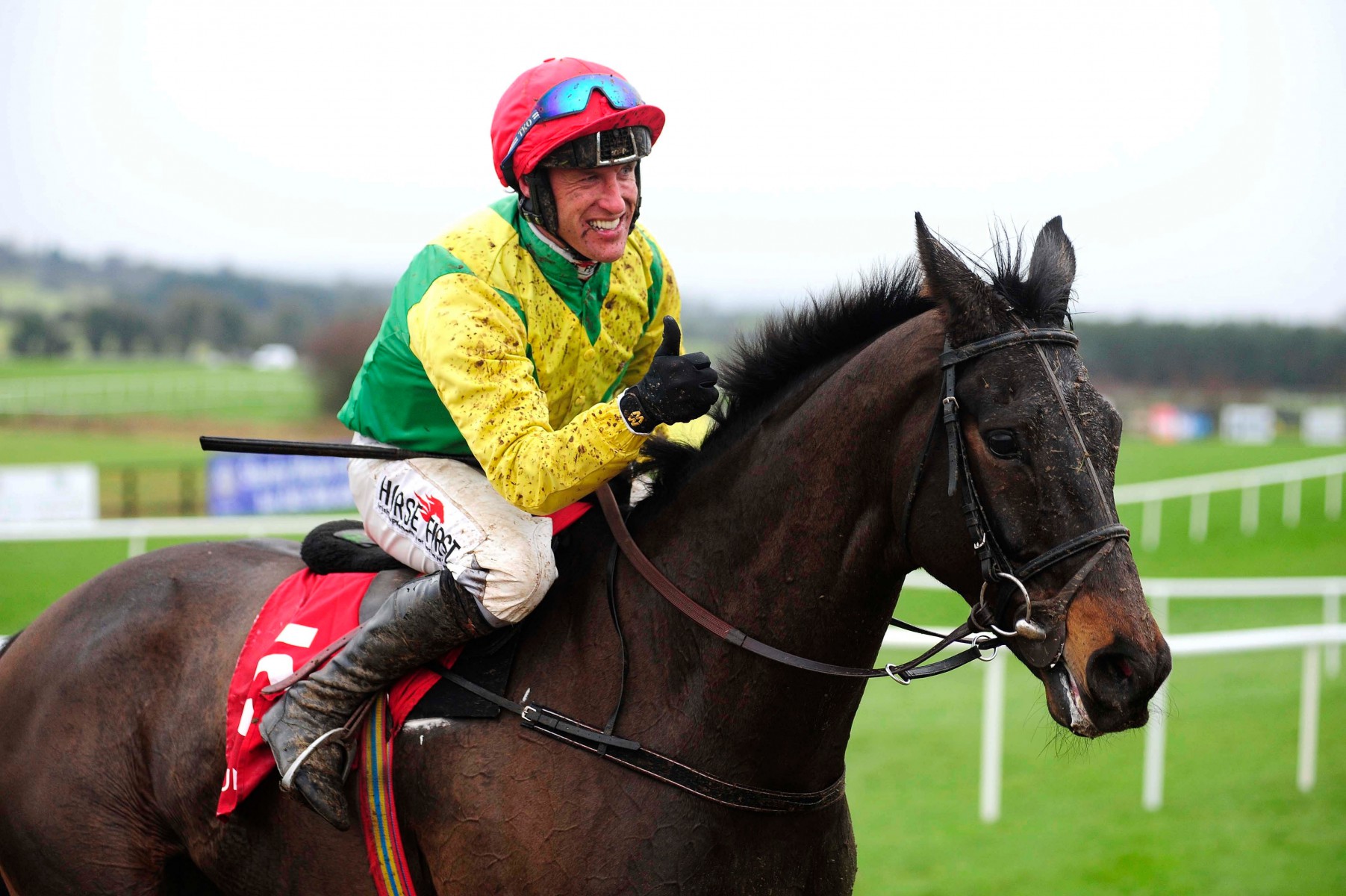 , Gold Cup Hero Sizing John out for the season after further setback confirms Jessica Harrington