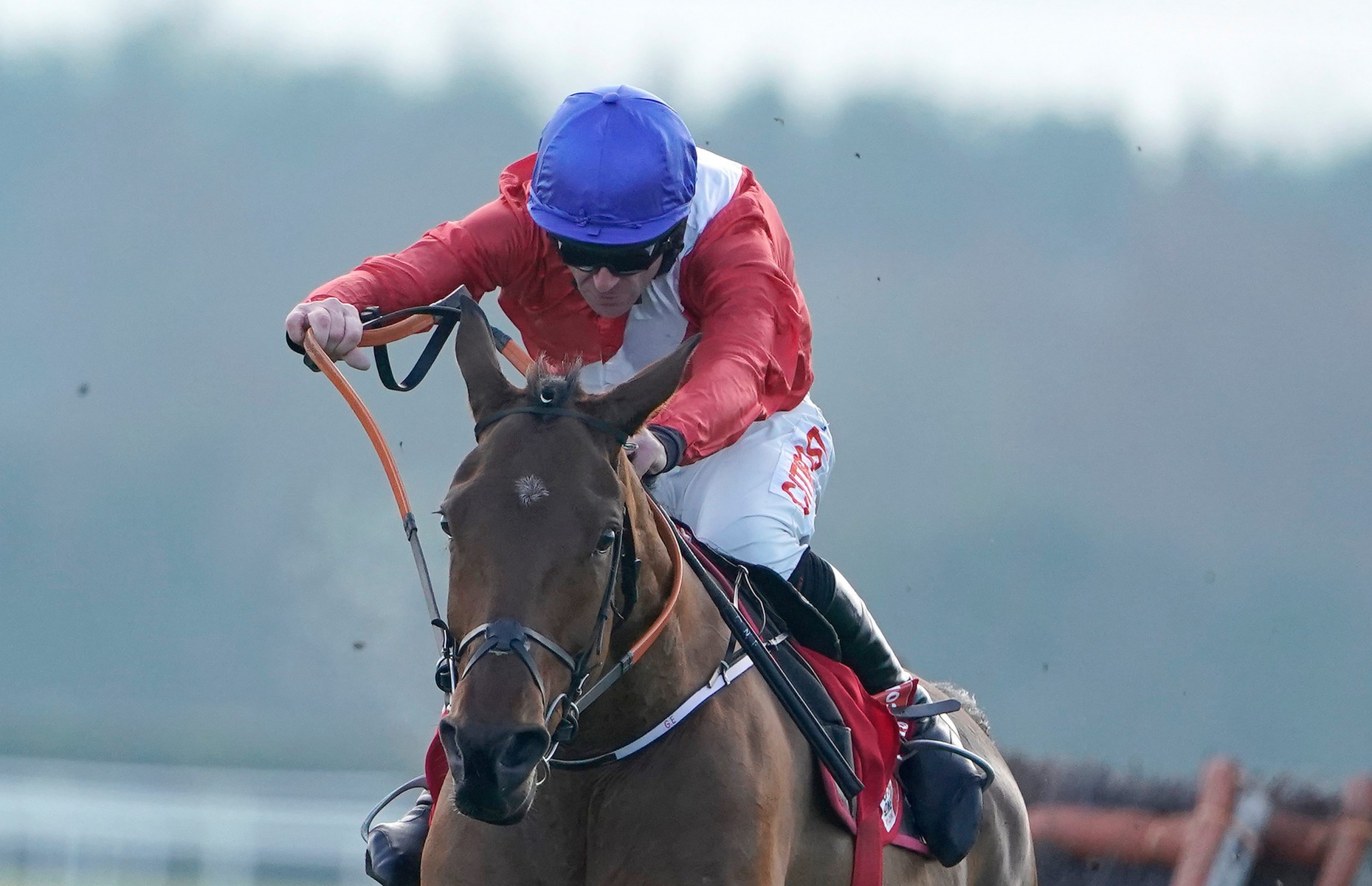 , Envoi Allen maintains unbeaten record with emphatic win in Grade 1 Lawlors Of Naas Novice