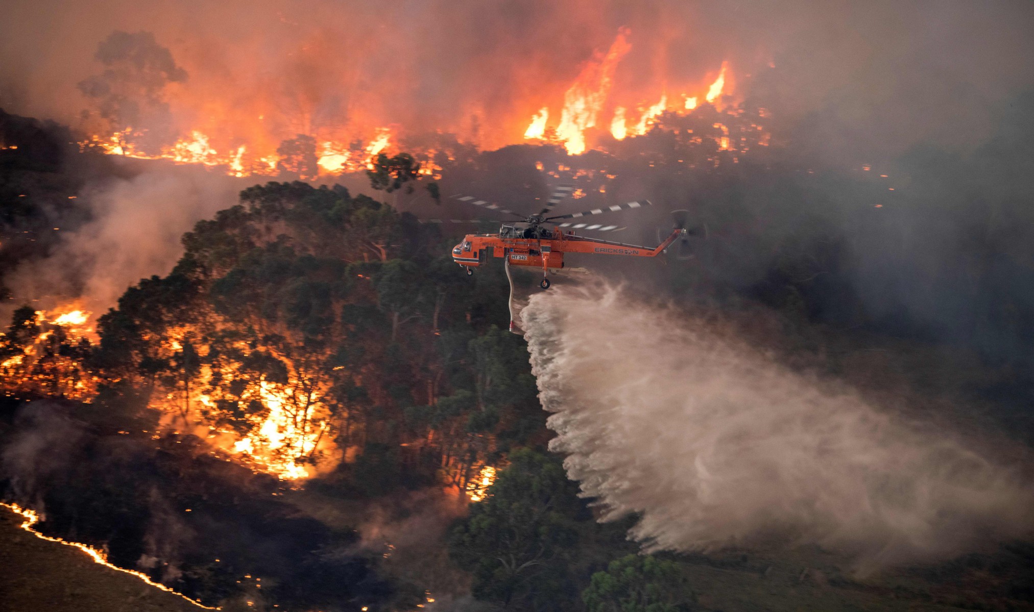  A helicopter drops tonnes of water on burning bushland