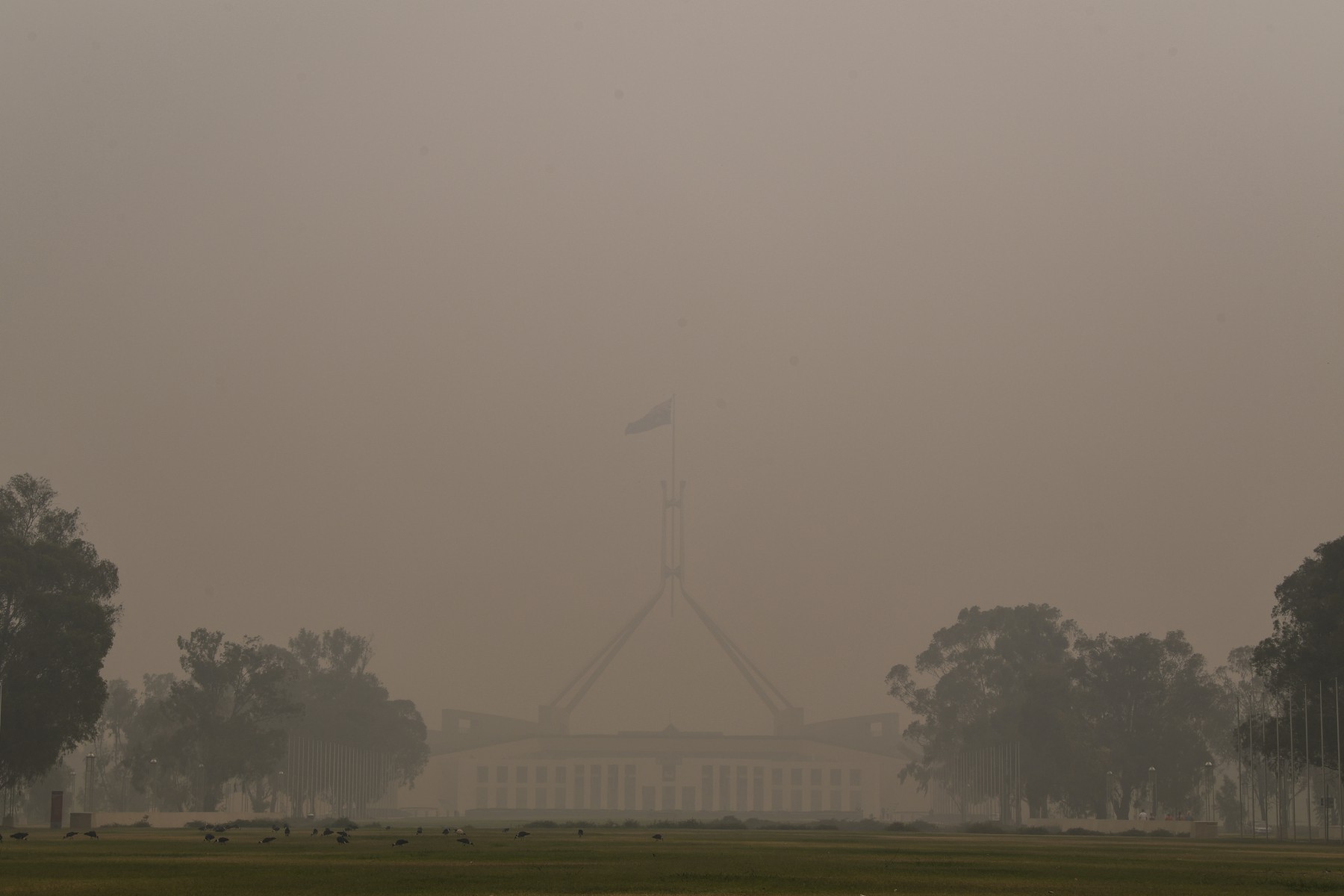  Thick smoke haze hangs around Parliament House in Canberra, Australia