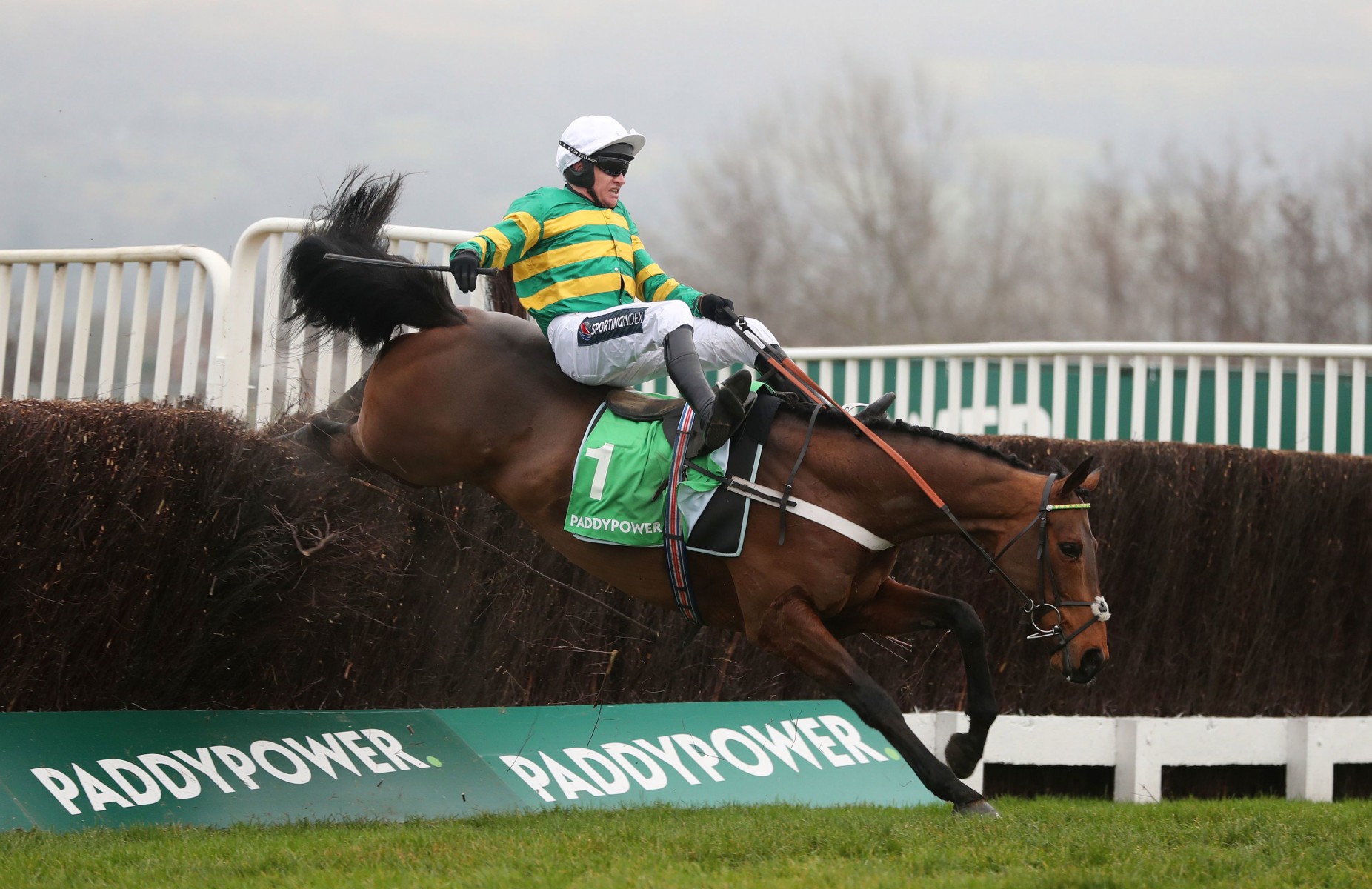 , Joy for Midnight Shadow in Dipper Chase as hot favourite Champ crashes down at second last
