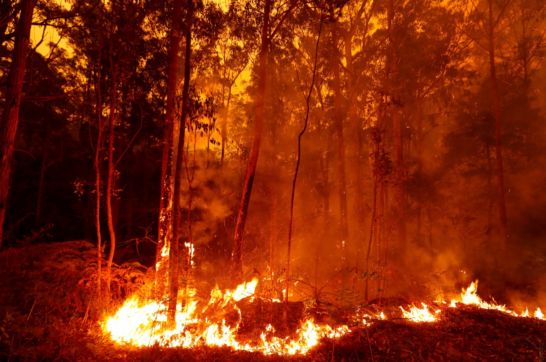 Raging fires continued to burn today in East Gippsland, Vitoria
