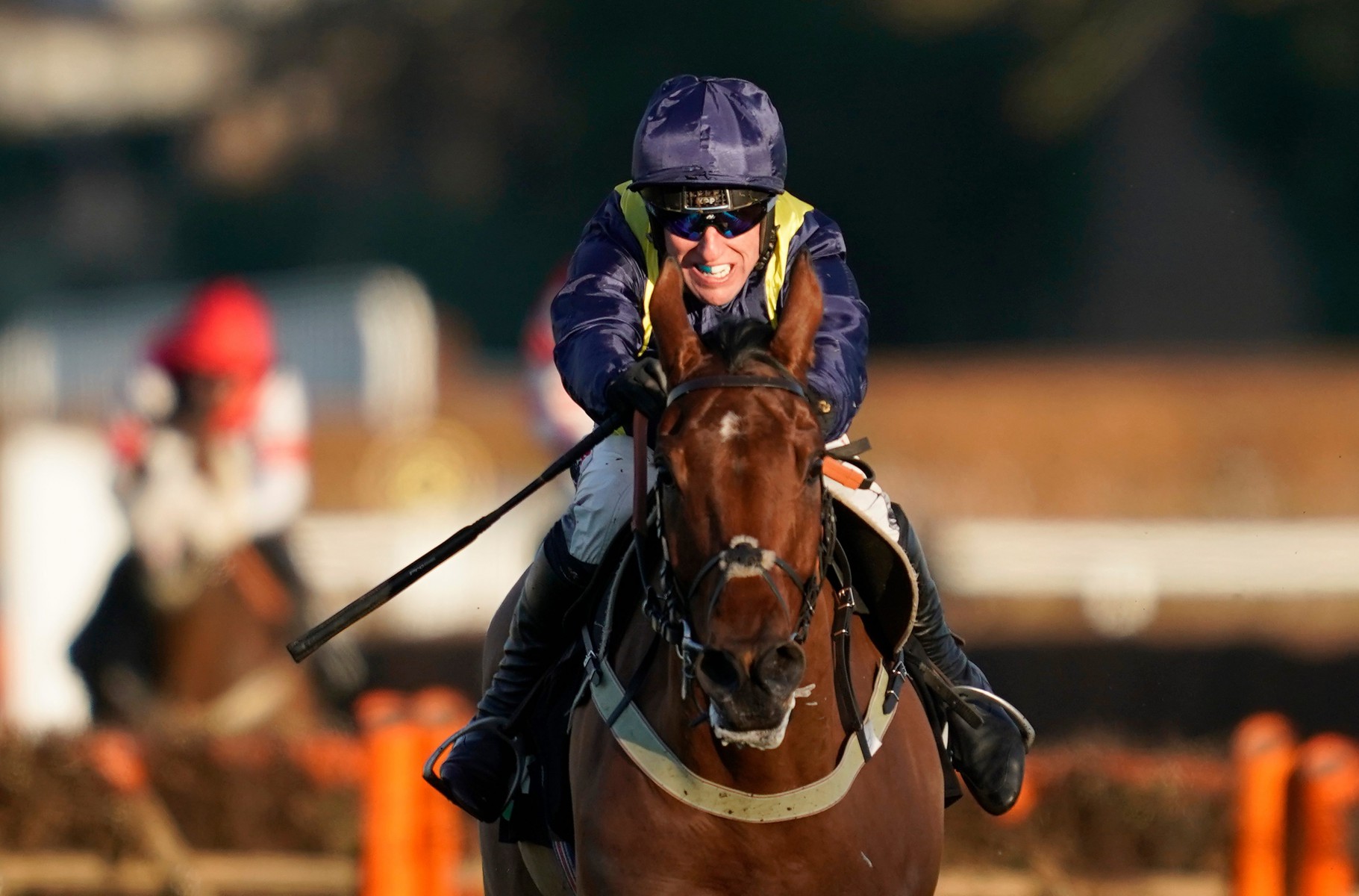 , Fiddlerontheroof enters the Cheltenham Festival picture with impressive Tolworth Hurdle victory