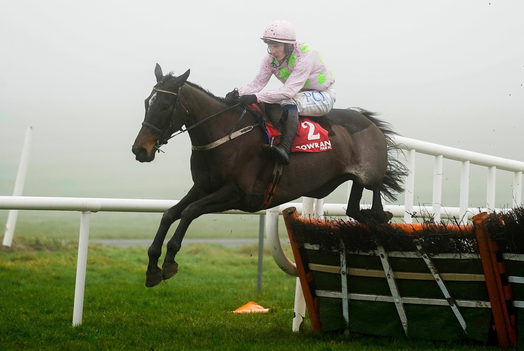 , Willie Mullins hails Benie Des Dieux and considers Stayers Hurdle after Galmoy success