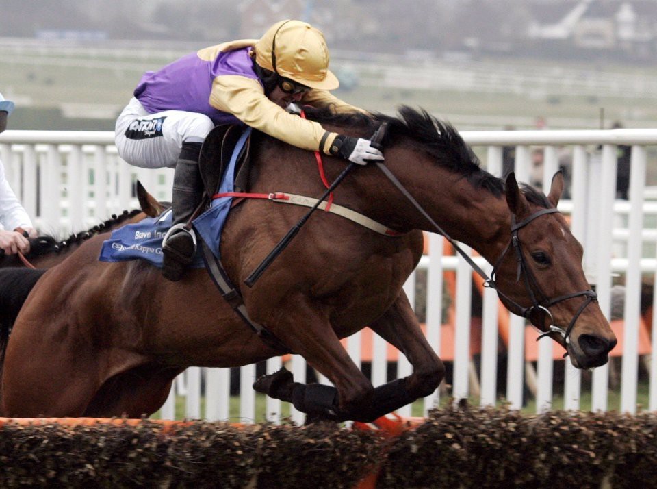 , Number 35: The top-class Champion hurdler who AP McCoy labelled an absolute machine