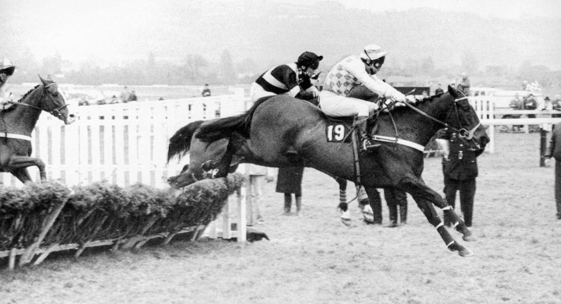 , Number 12: A three-time Champion Hurdle champion nicknamed See You When who turned up when it mattered at the Festival