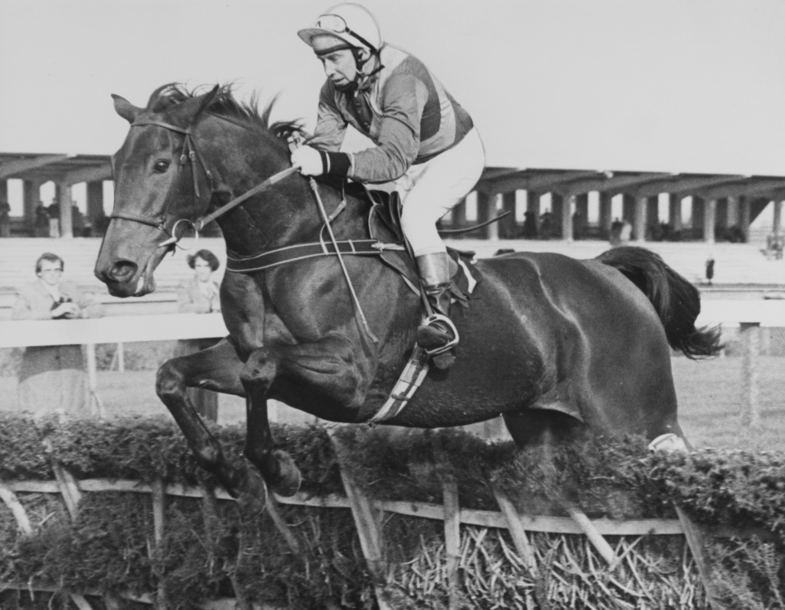 , Number 17: The legendary Festival hurdler that downed Sea Pigeon &amp; Monksfield in the best ever Champion Hurdle