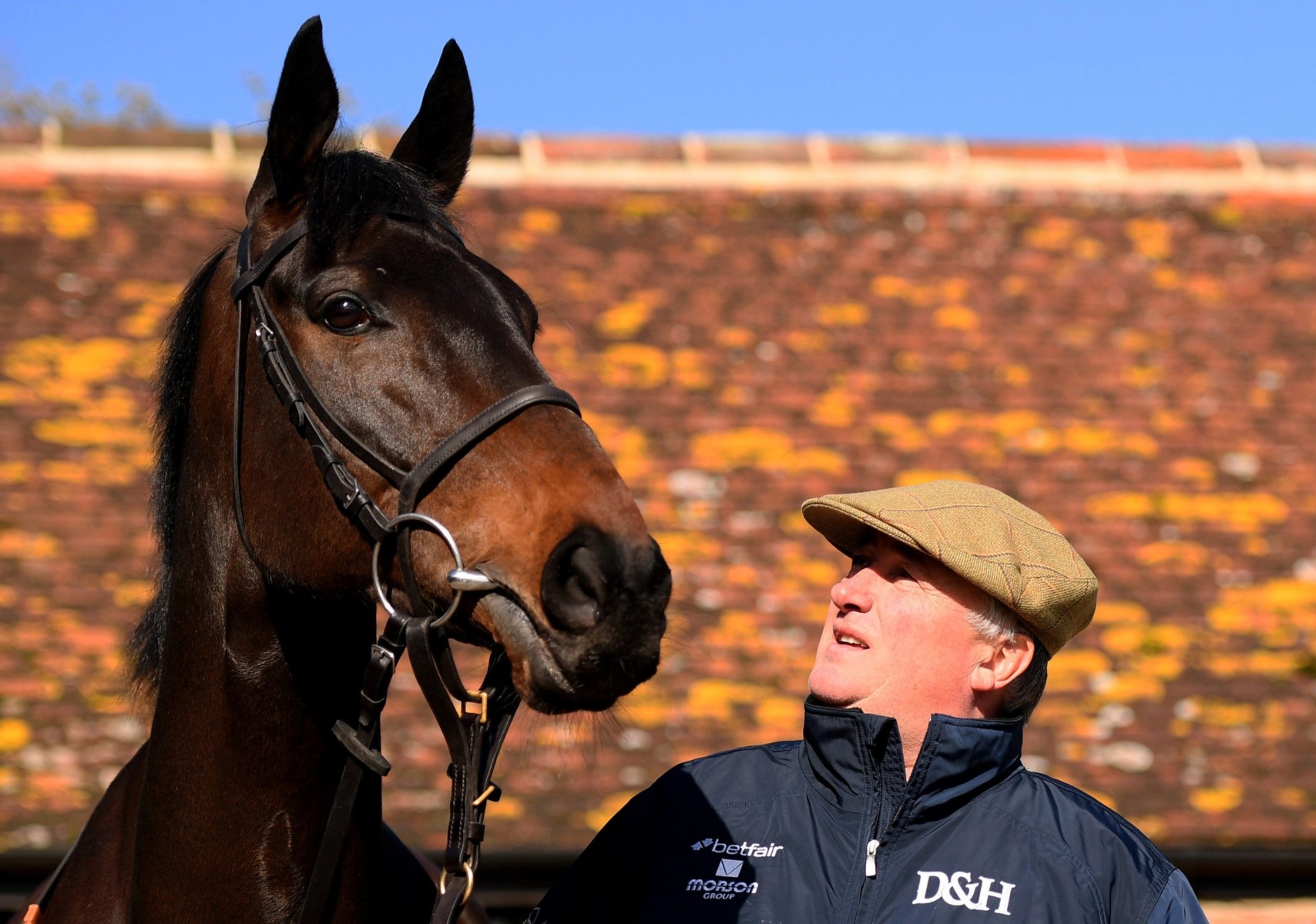 , Cheltenham Festival 2020: Paul Nicholls rates Gold Cup contender Clan Des Obeaux his best chance of the meeting
