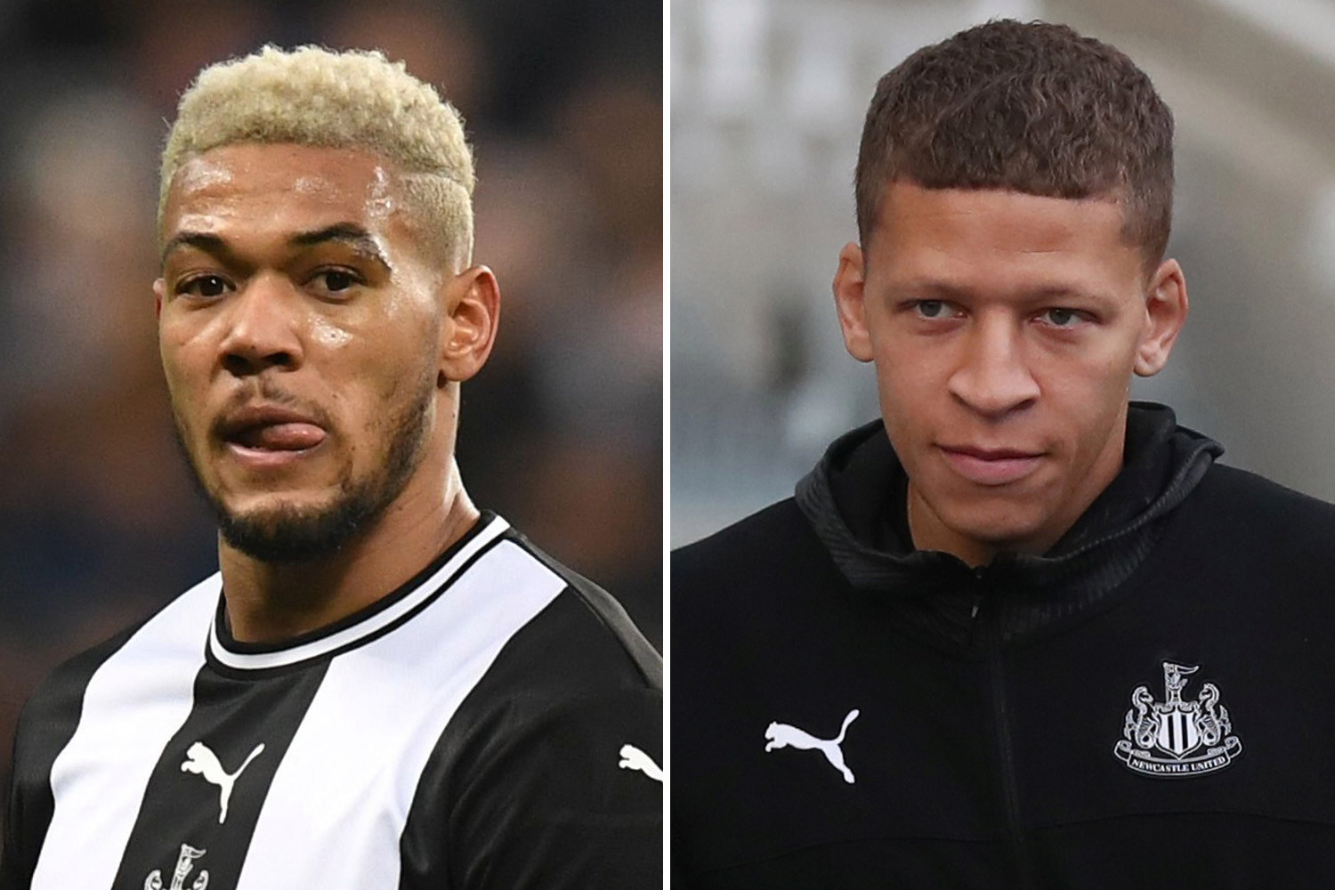 , Joelinton facing axe after 23 games goalless run as Bruce prepares to unleash Gayle against Crystal Palace