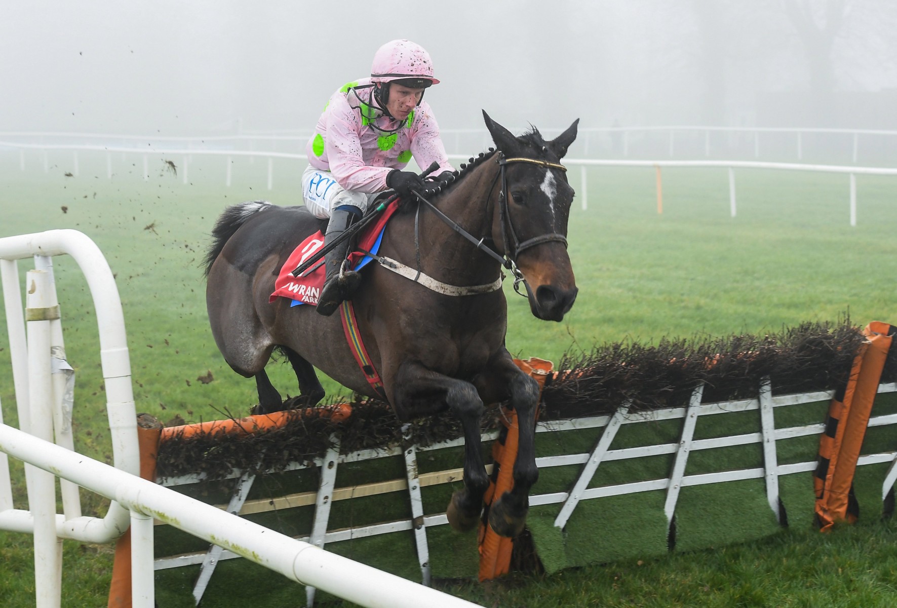 , Get 40/1 for Benie Des Dieux to win at the Cheltenham Festival on Tuesday