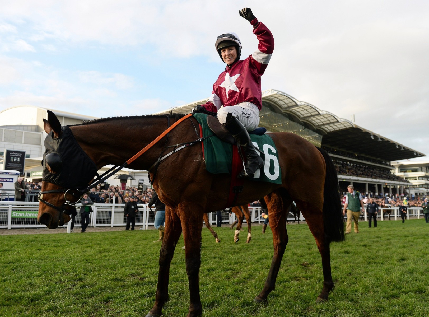 , Get Tiger Roll at 40/1 to win at Cheltenham with Betway and Paddy Power