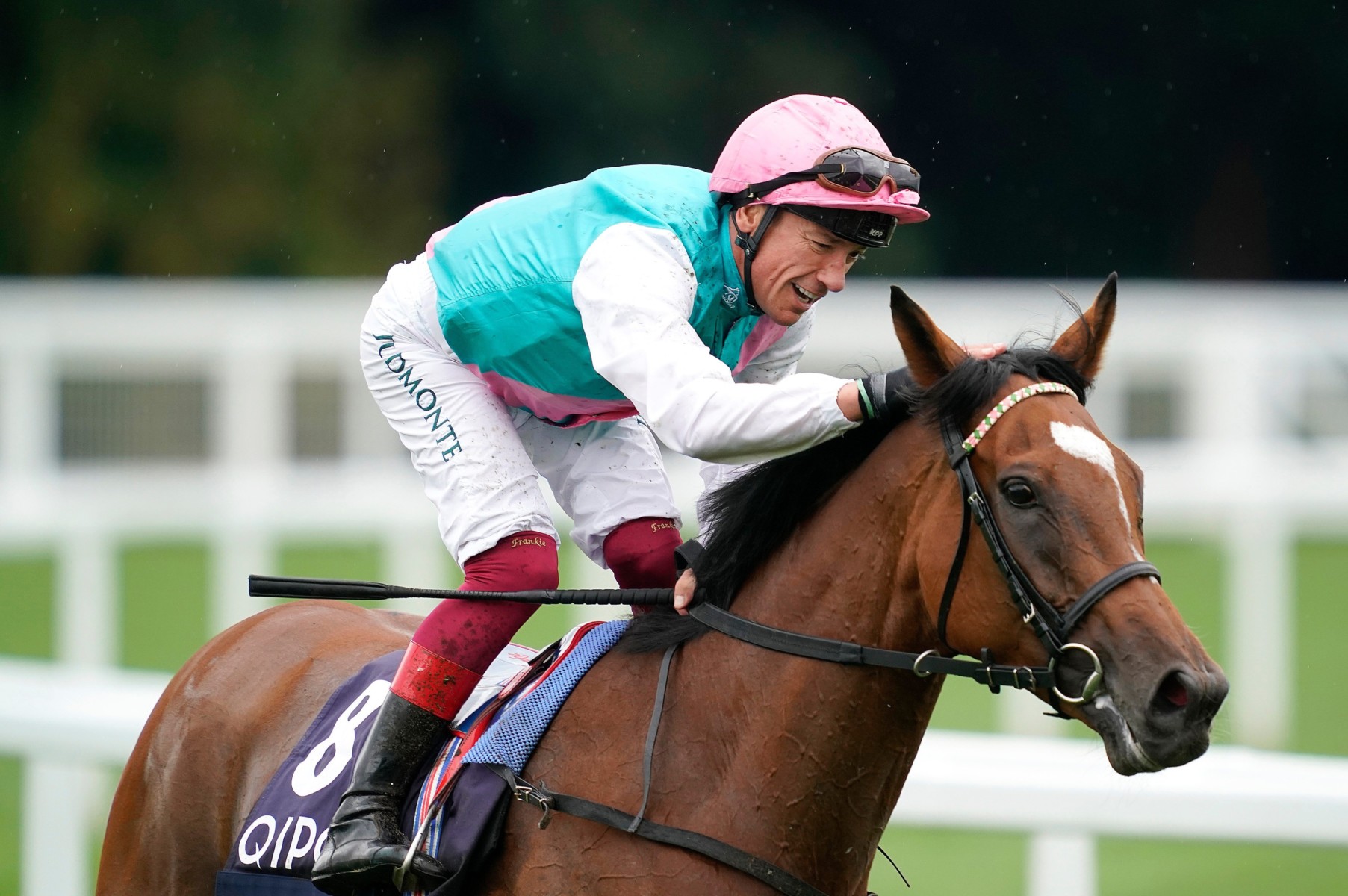 , Coronavirus outbreak puts plans for superstar Enable on hold as crisis threatens to scupper Arc bid