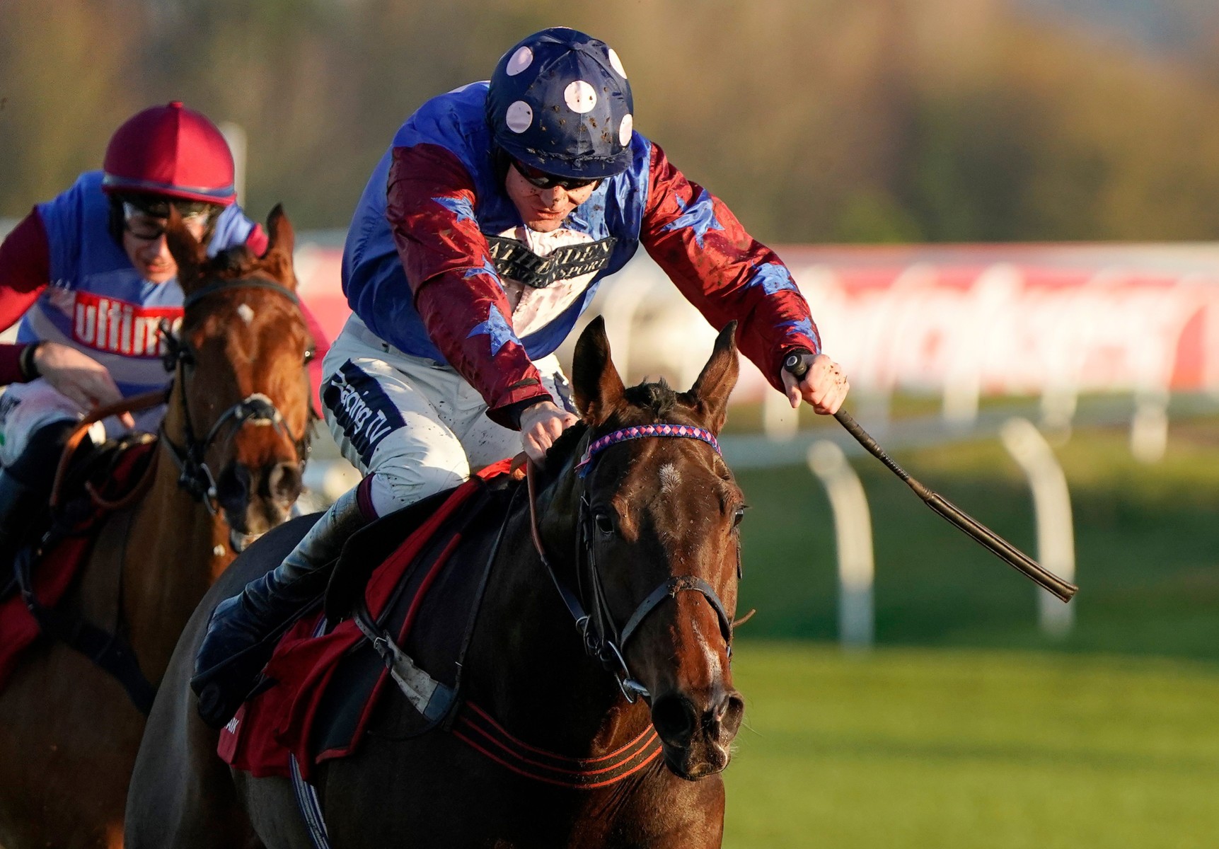 , Punchestown possibility for top stayer Paisley Park after irregular heartbeat at Cheltenham