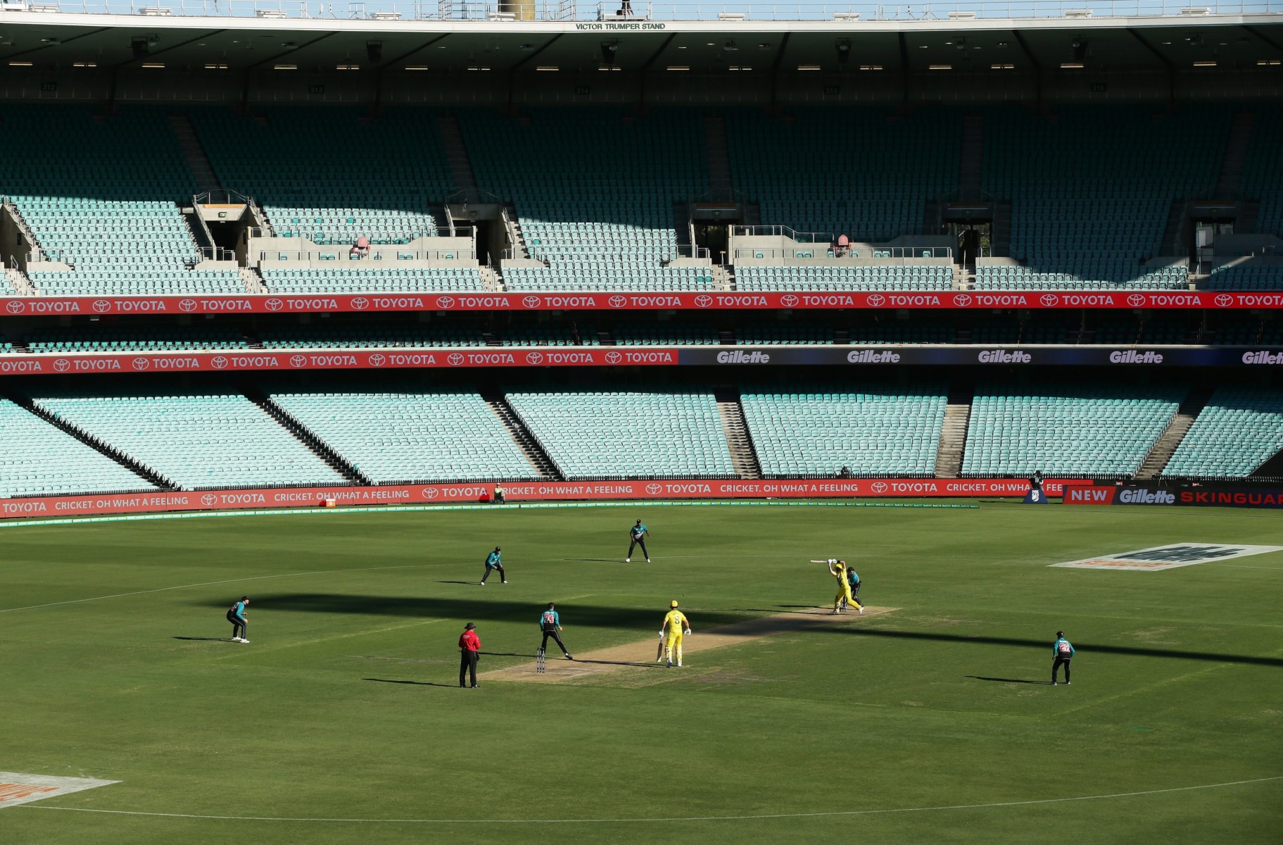 Australia beat New Zealand by 71 runs at the Sydney Cricket Ground but there were no fans in the stands to watch it