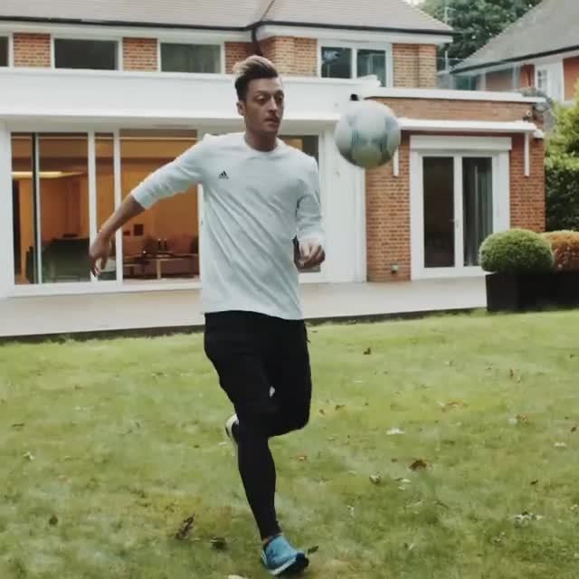 Ozil's home is in an affluent area of North London