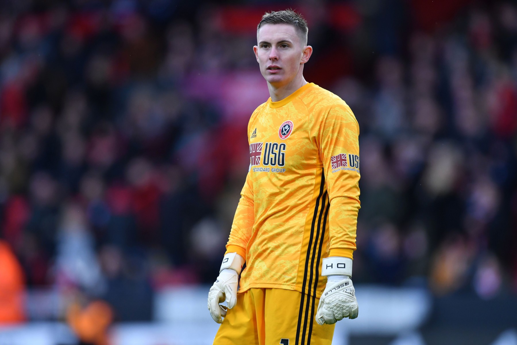 , Seaman backs Pickford to beat Henderson to England No1 spot… if he can toughen up