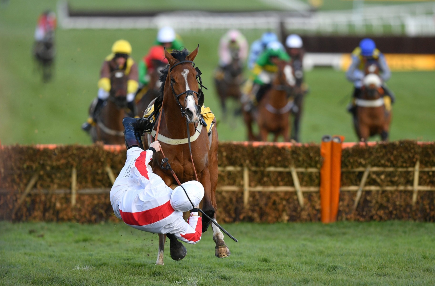 , Top-class hurdler Goshen to be given Flat campaign this summer with £1 million Ebor the target