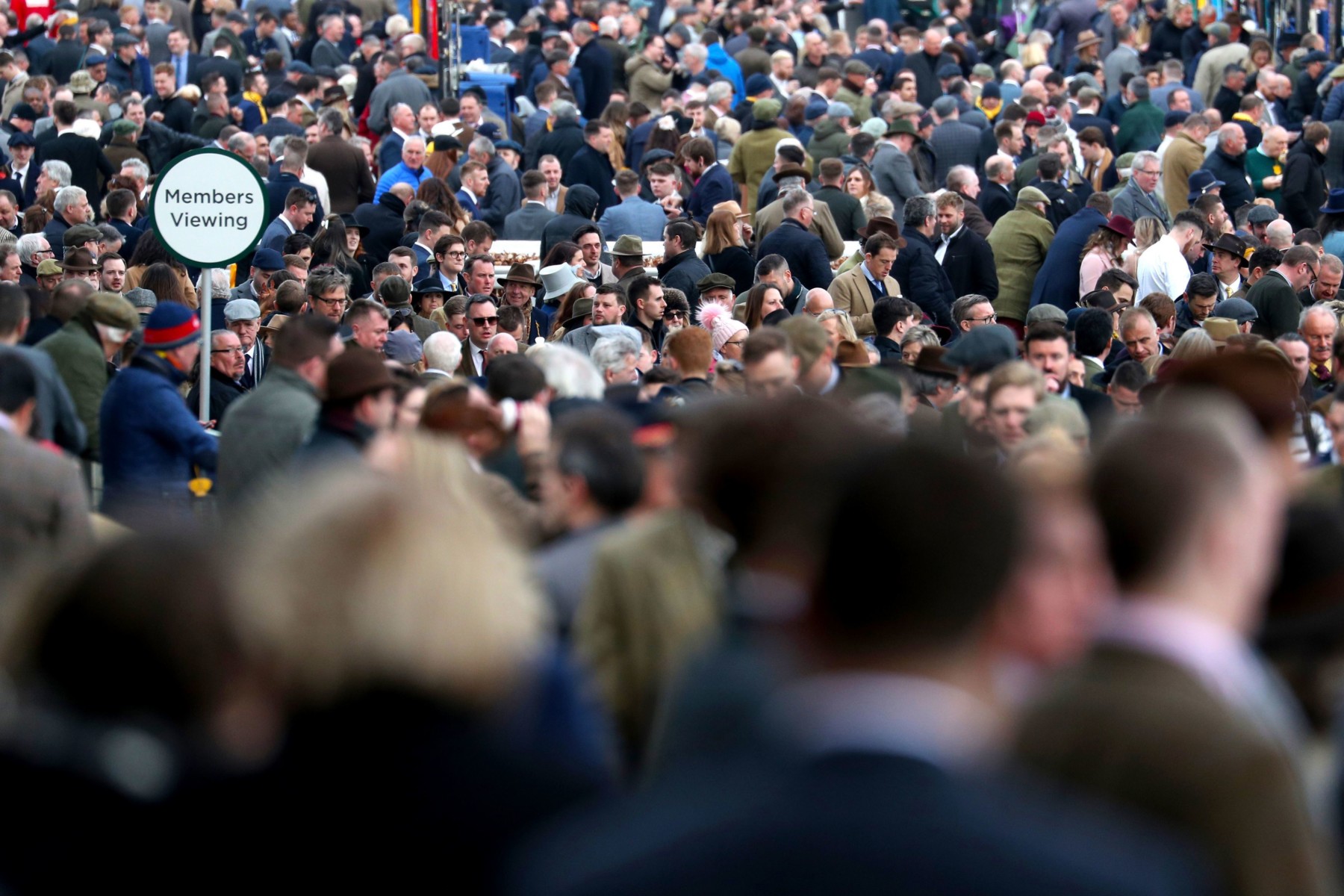  Thousands headed to Cheltenham Festival this year before the lockdown