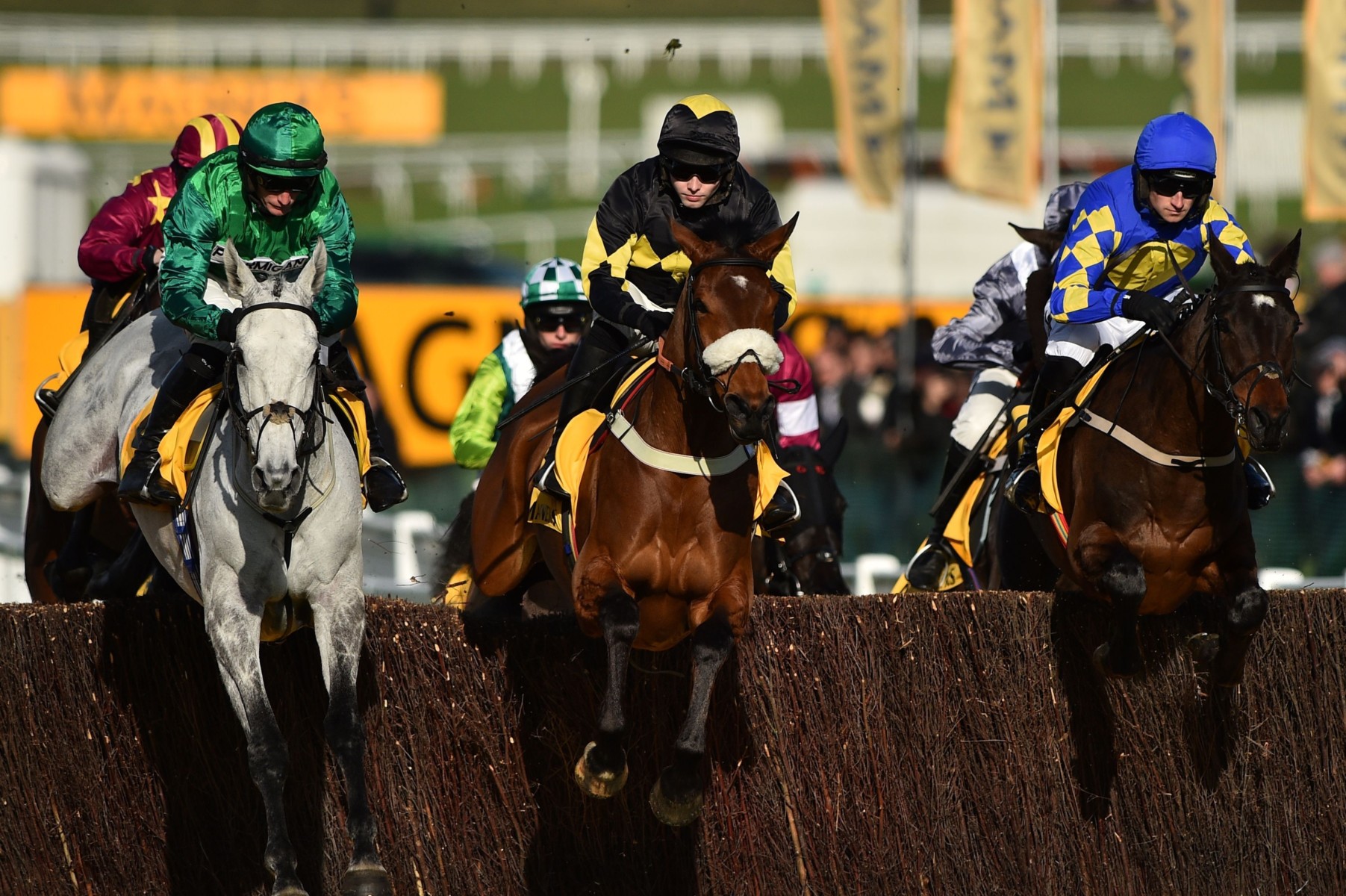 , Jumps racing in Britain suspended until at least 1 July due to coronavirus