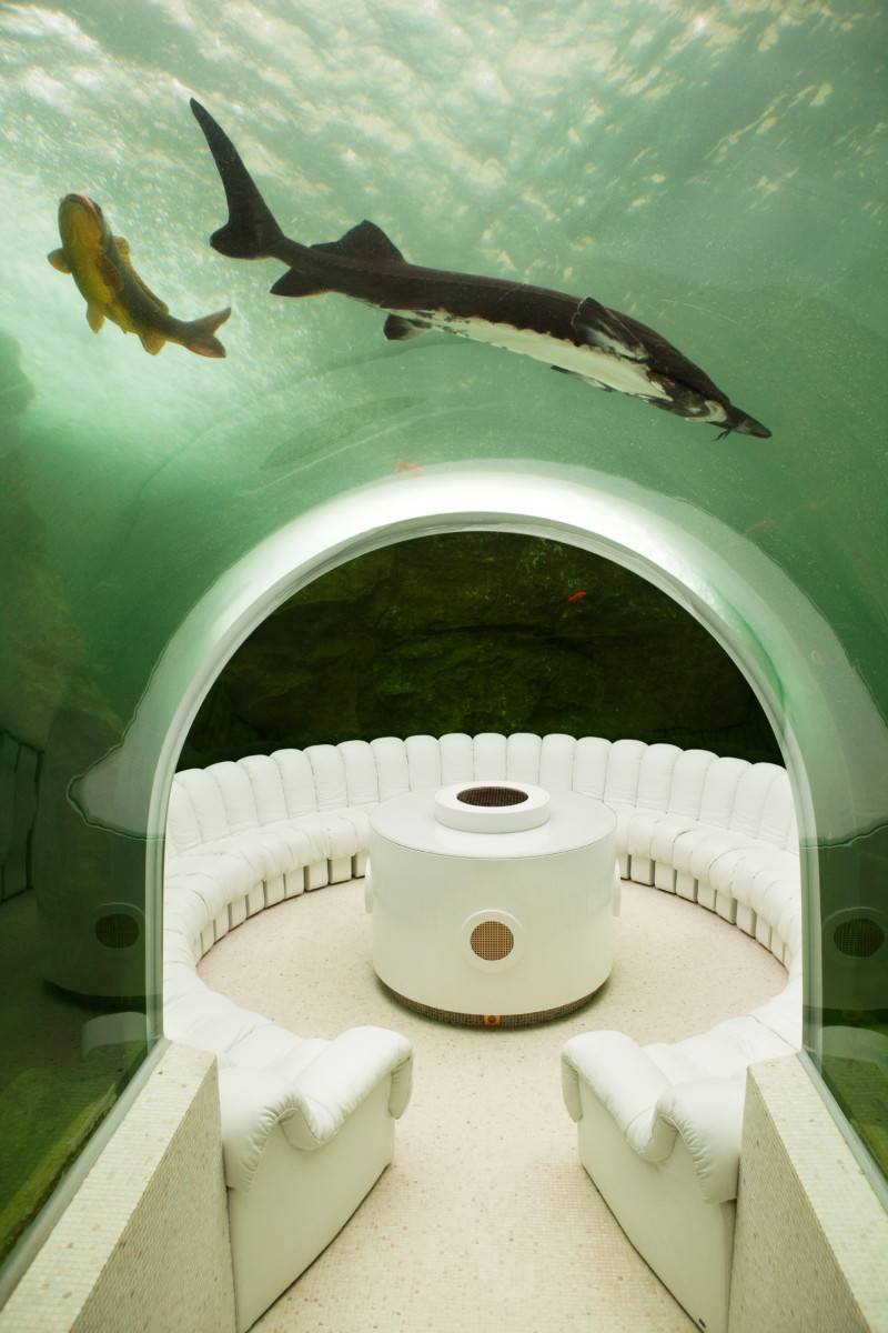 The most incredible feature is its meditation room that features an aquarium