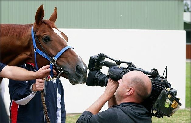 , Ed Dunlop remembers the great globetrotter Red Cadeaux – the ‘horse who touched a nation’