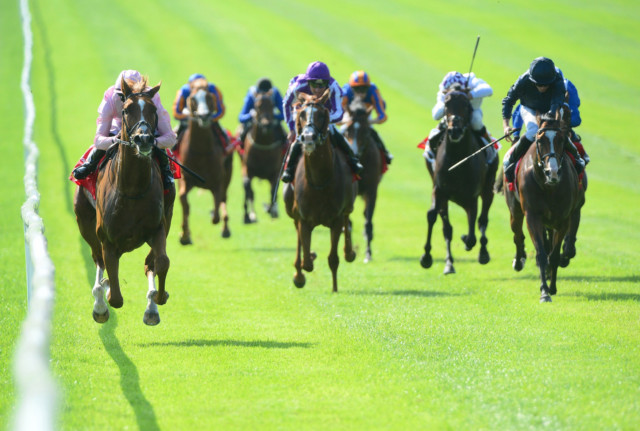 , Confusion ends in Ireland as HRI confirm racing will restart behind closed doors from June 8 with strict protocols