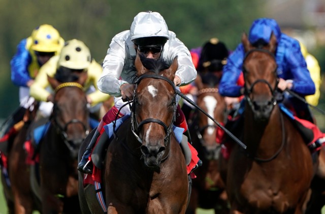 , Third favourite Palace Pier ruled out of 2000 Guineas by trainer John Gosden