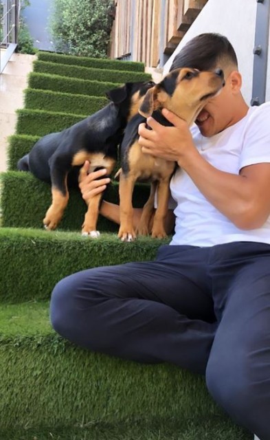 , Alexis Sanchez welcomes two new puppies to join Atom and Humber and keep Man Utd flop company during lockdown